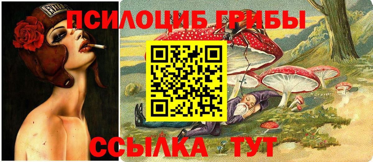 Ухта  Псилоцибиновые грибы GOLDEN TEACHER  Вход с VPN 